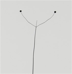 Image description is not available for 2009.049